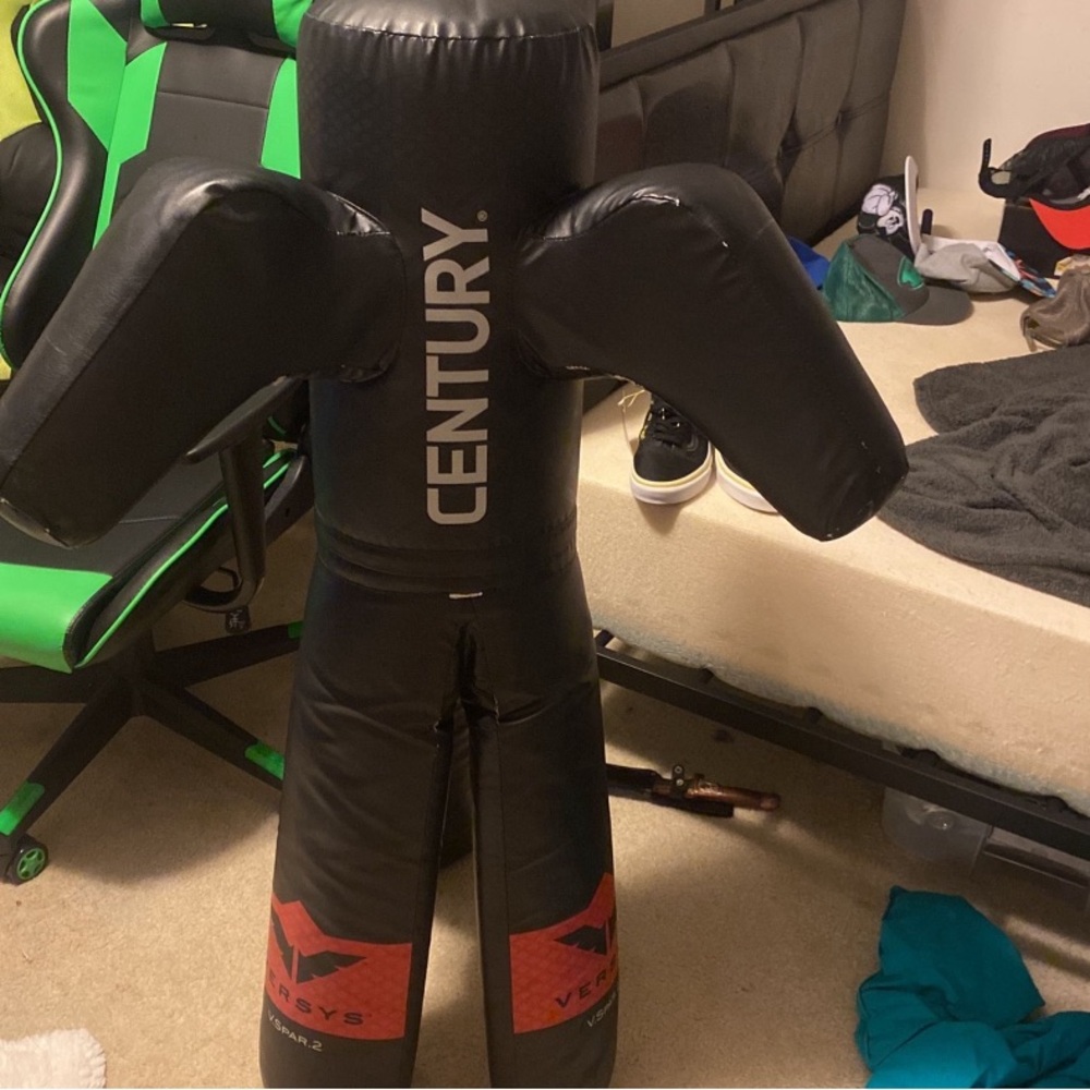 Wrestling and punching bag